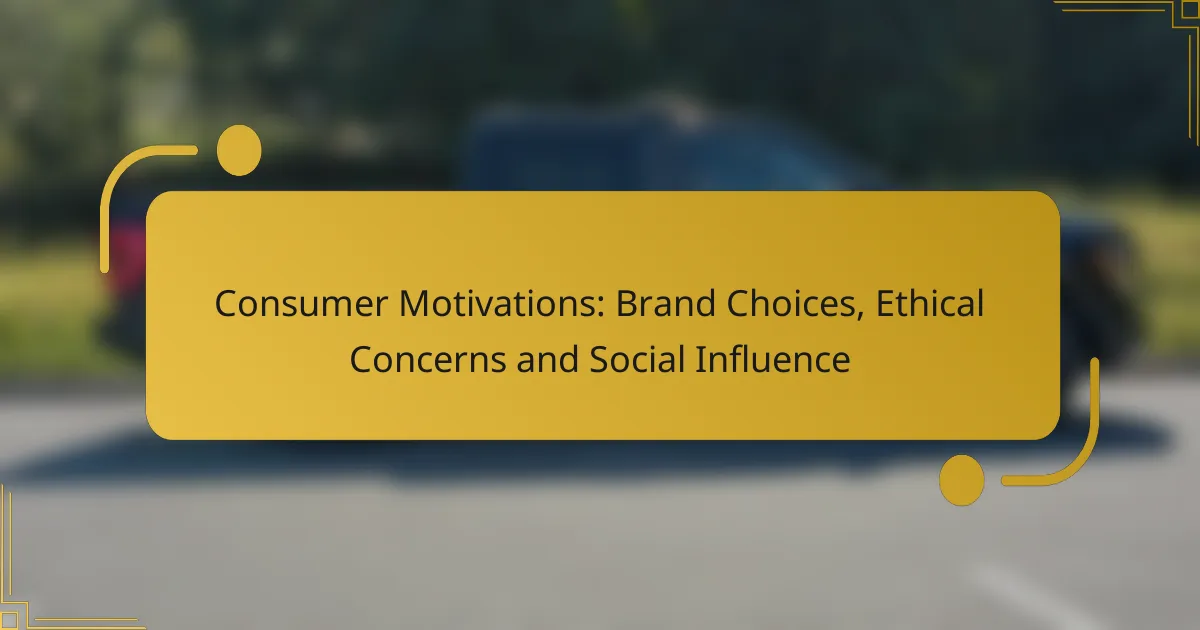 Consumer Motivations: Brand Choices, Ethical Concerns and Social Influence