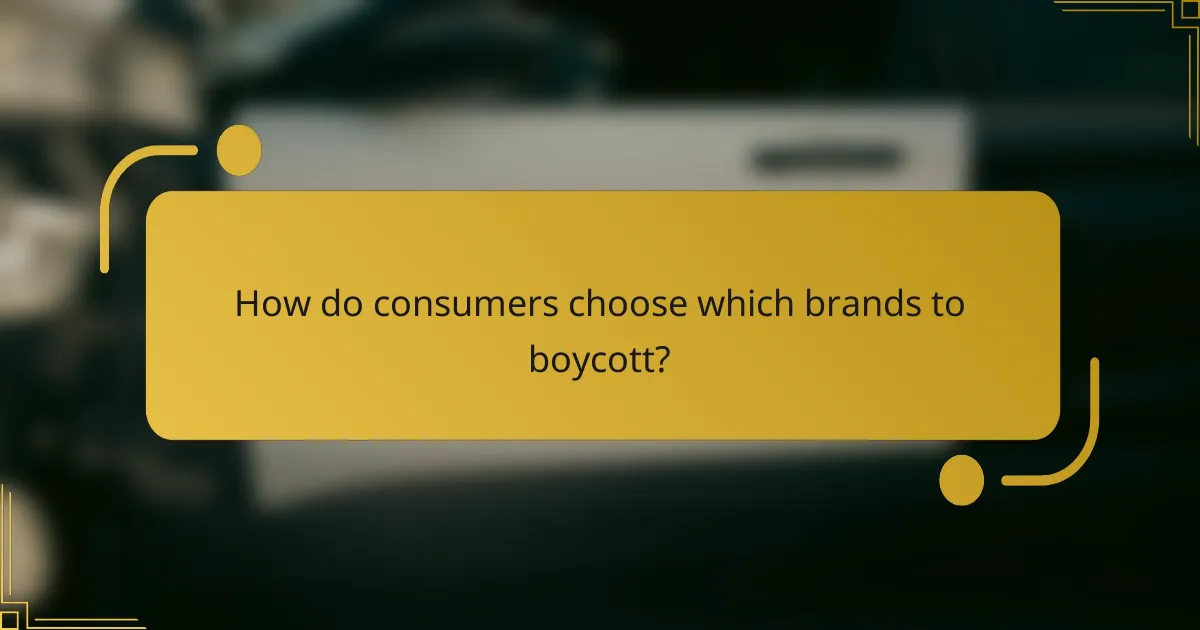 How do consumers choose which brands to boycott?
