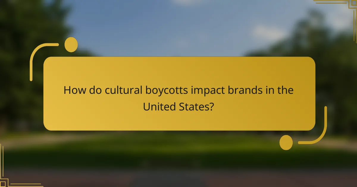 How do cultural boycotts impact brands in the United States?