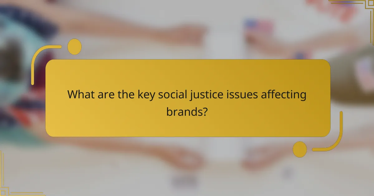 What are the key social justice issues affecting brands?