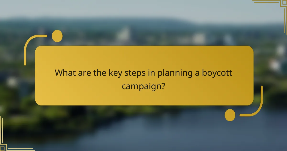 What are the key steps in planning a boycott campaign?