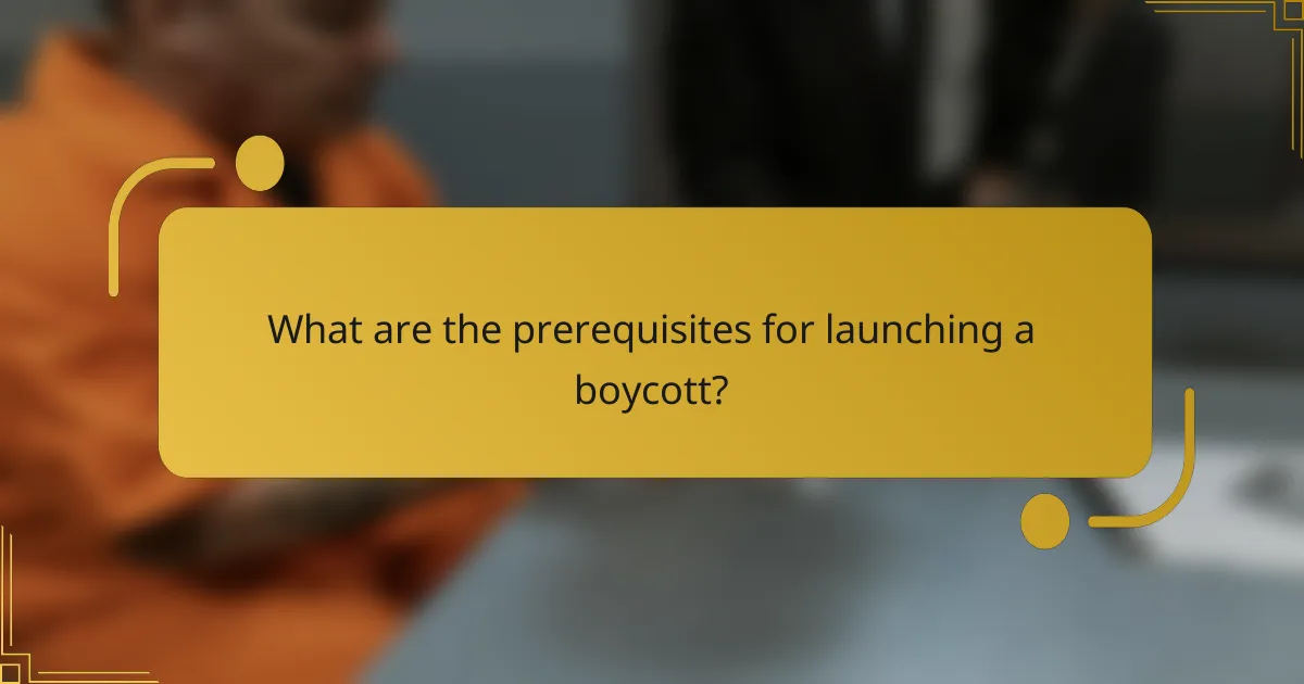 What are the prerequisites for launching a boycott?