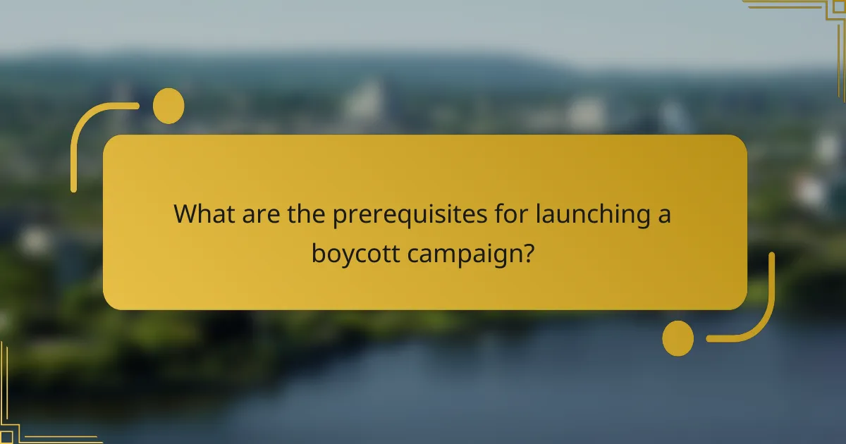 What are the prerequisites for launching a boycott campaign?